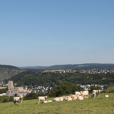 Ferienwohnung Auf Der Moselhoehe - Naehe Koblenz Und Cochem ديبليخ المظهر الخارجي الصورة