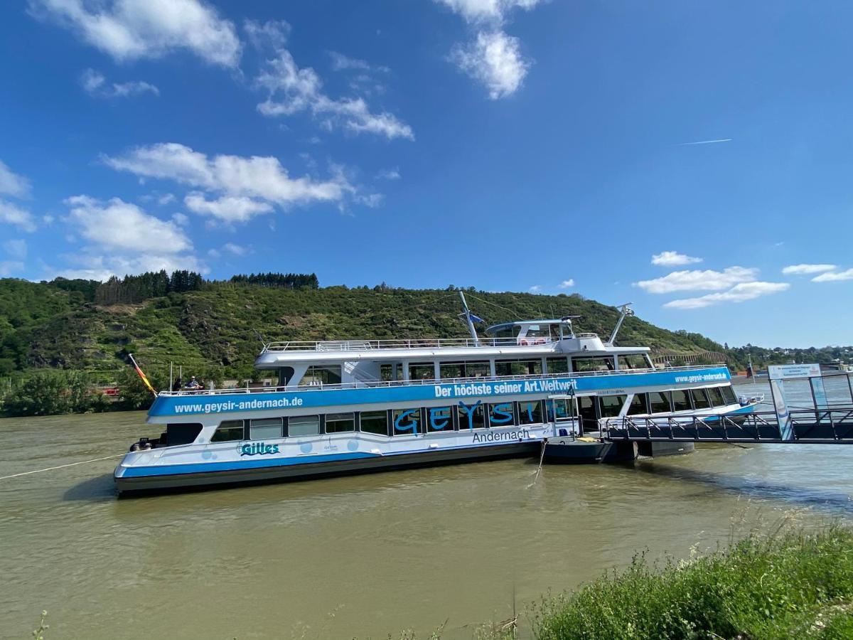 Ferienwohnung Auf Der Moselhoehe - Naehe Koblenz Und Cochem ديبليخ المظهر الخارجي الصورة