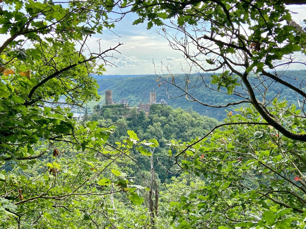 Ferienwohnung Auf Der Moselhoehe - Naehe Koblenz Und Cochem ديبليخ المظهر الخارجي الصورة