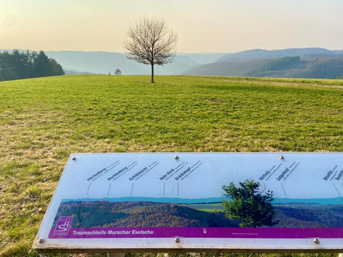 Ferienwohnung Auf Der Moselhoehe - Naehe Koblenz Und Cochem ديبليخ المظهر الخارجي الصورة