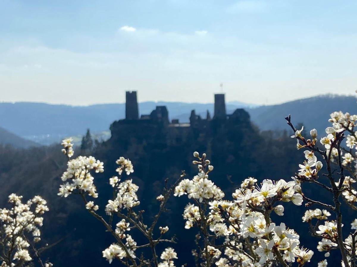 Ferienwohnung Auf Der Moselhoehe - Naehe Koblenz Und Cochem ديبليخ المظهر الخارجي الصورة