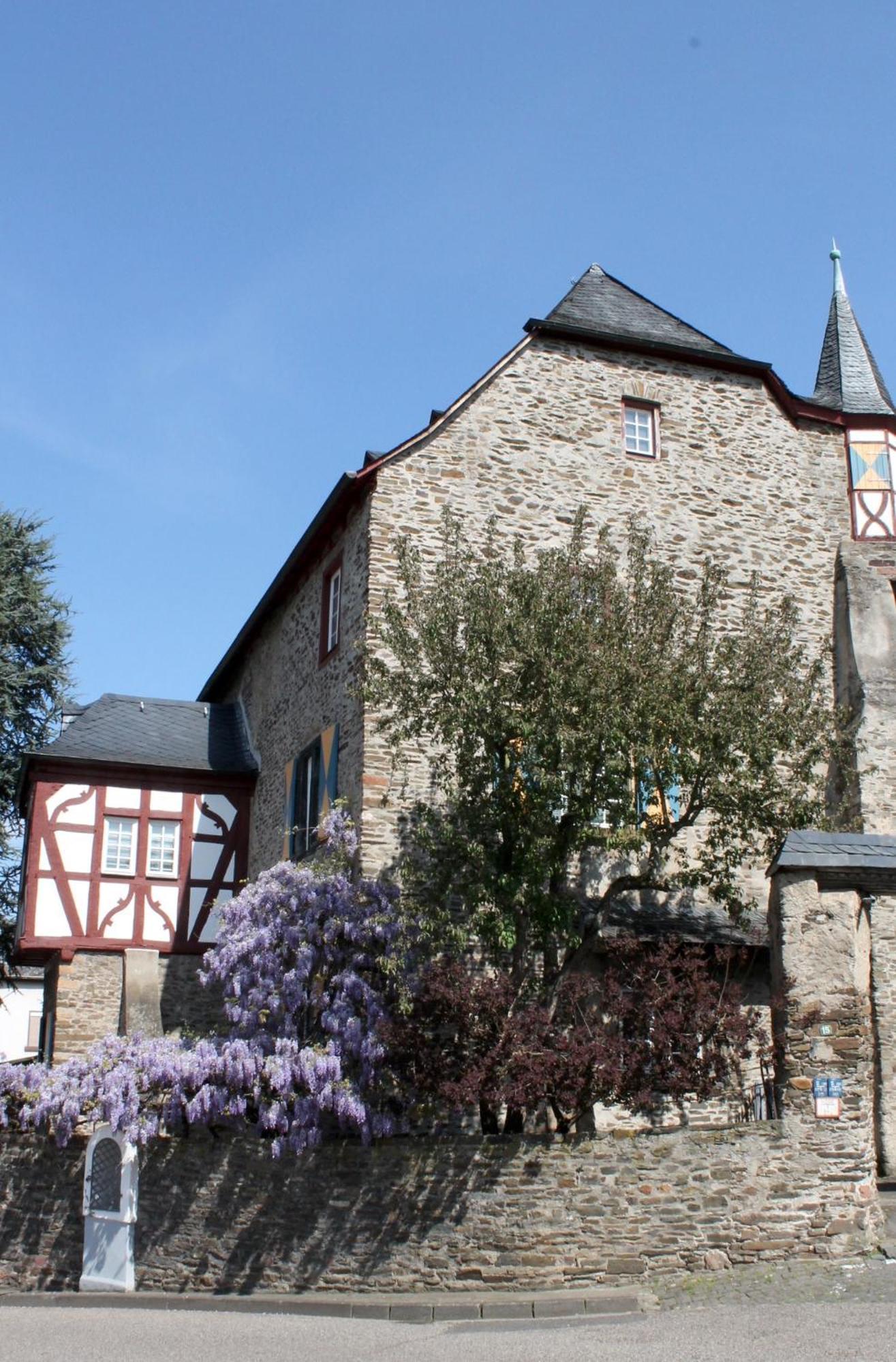 Ferienwohnung Auf Der Moselhoehe - Naehe Koblenz Und Cochem ديبليخ المظهر الخارجي الصورة