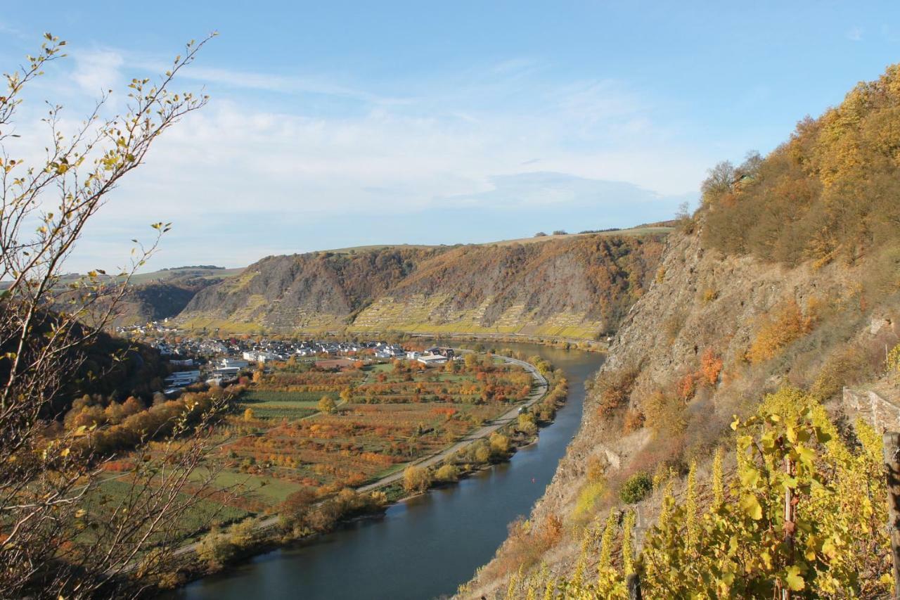 Ferienwohnung Auf Der Moselhoehe - Naehe Koblenz Und Cochem ديبليخ المظهر الخارجي الصورة