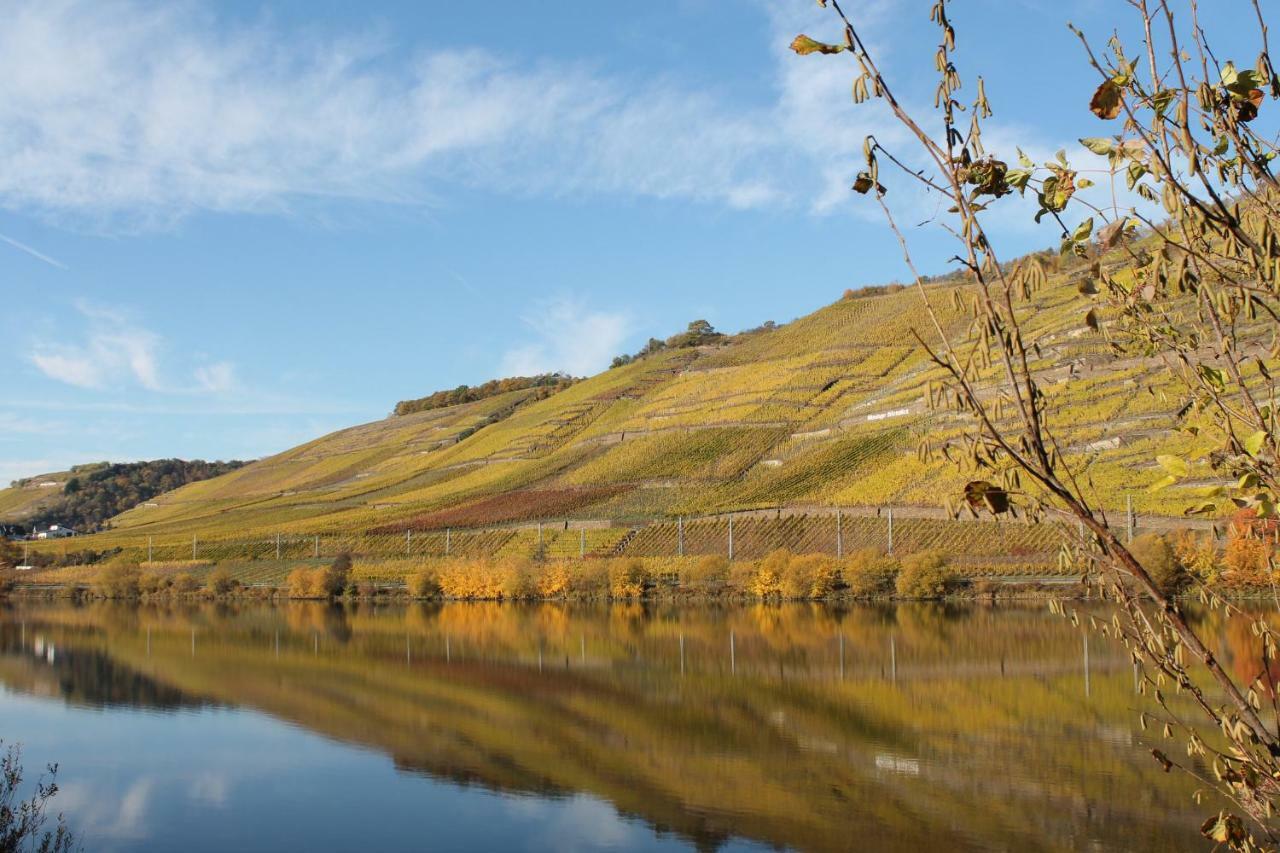 Ferienwohnung Auf Der Moselhoehe - Naehe Koblenz Und Cochem ديبليخ المظهر الخارجي الصورة