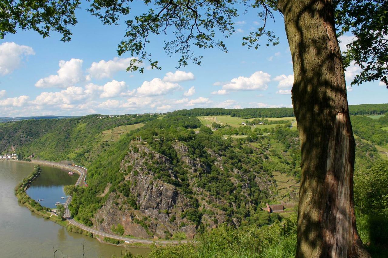 Ferienwohnung Auf Der Moselhoehe - Naehe Koblenz Und Cochem ديبليخ المظهر الخارجي الصورة